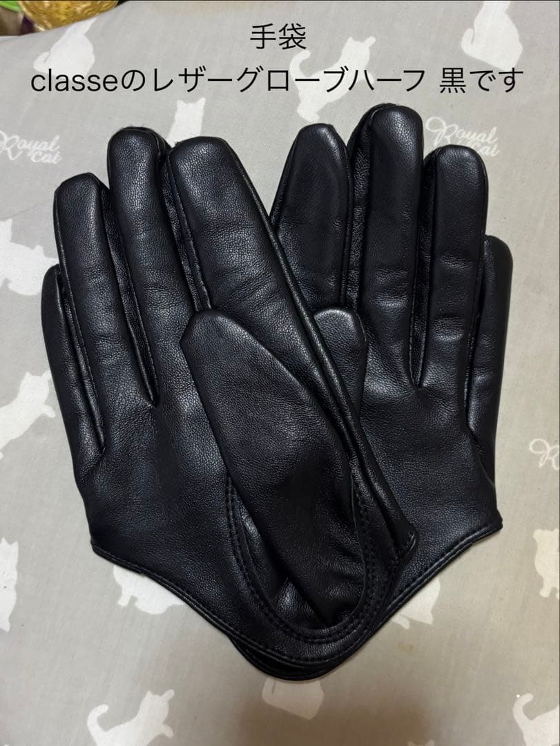 刀剣乱舞 小竜景光 戦闘衣装