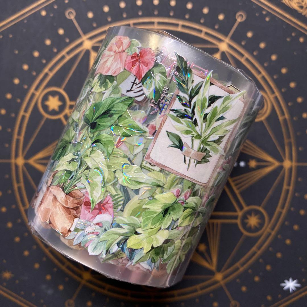 【9467】海外　マステ　3/5/巻　貝殻光マスキングテープ　植物　緑　装飾系