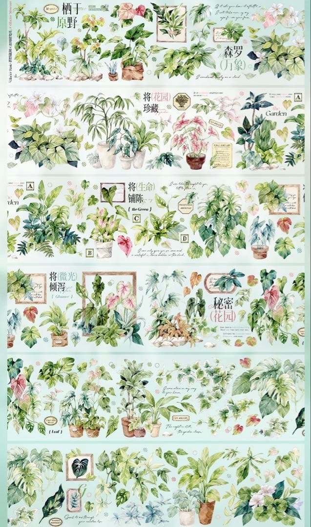 【9467】海外　マステ　3/5/巻　貝殻光マスキングテープ　植物　緑　装飾系