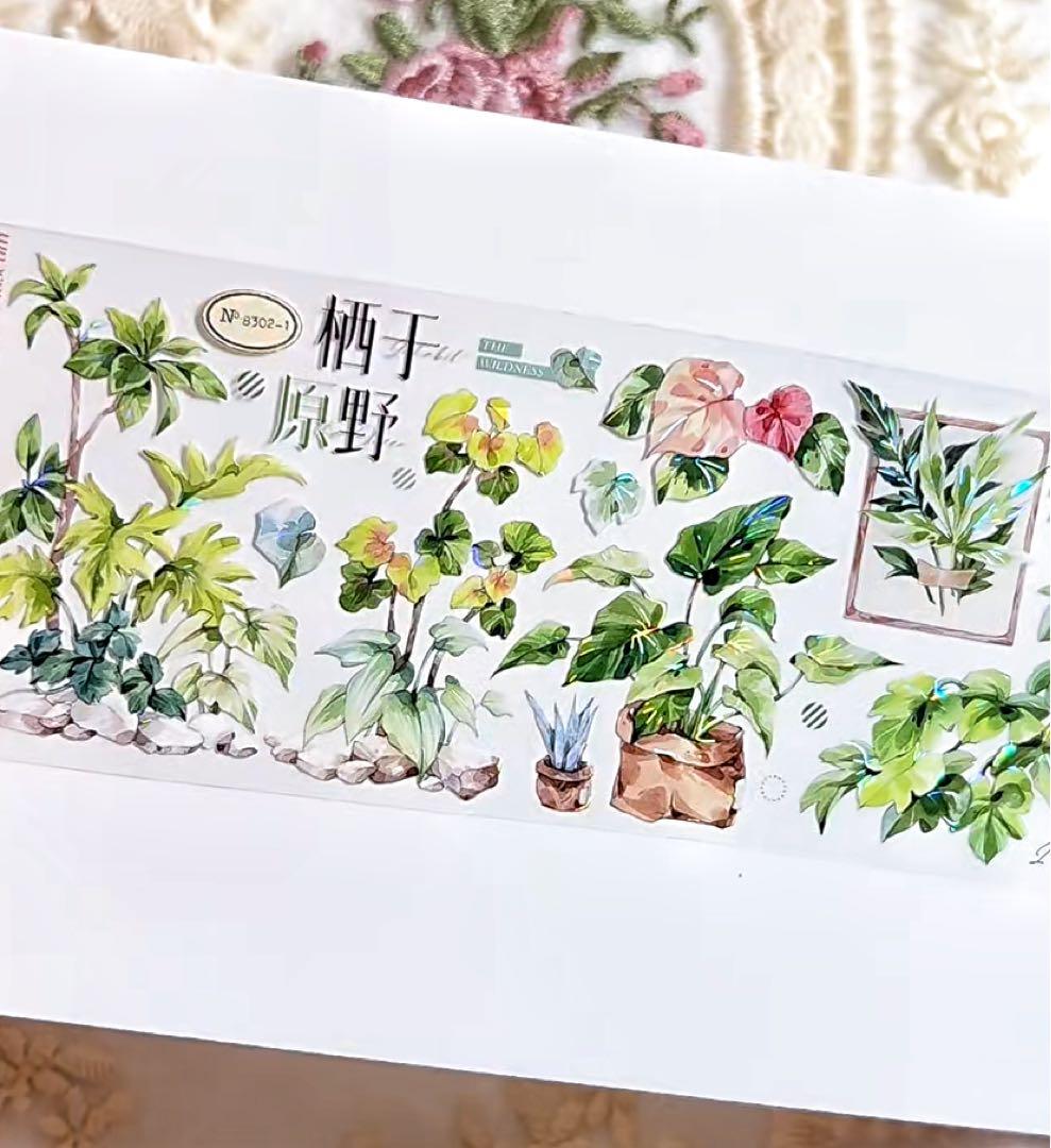 【9467】海外　マステ　3/5/巻　貝殻光マスキングテープ　植物　緑　装飾系