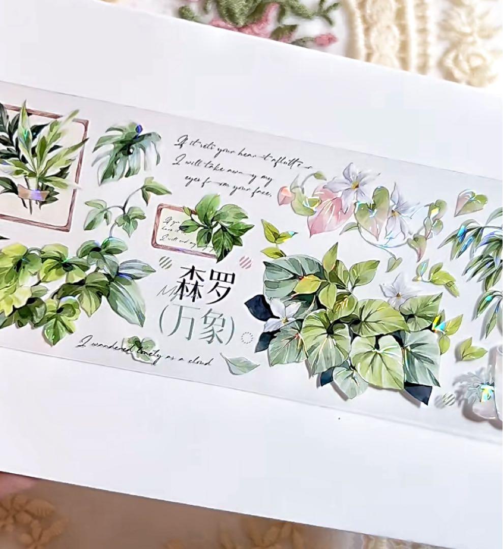 【9467】海外　マステ　3/5/巻　貝殻光マスキングテープ　植物　緑　装飾系