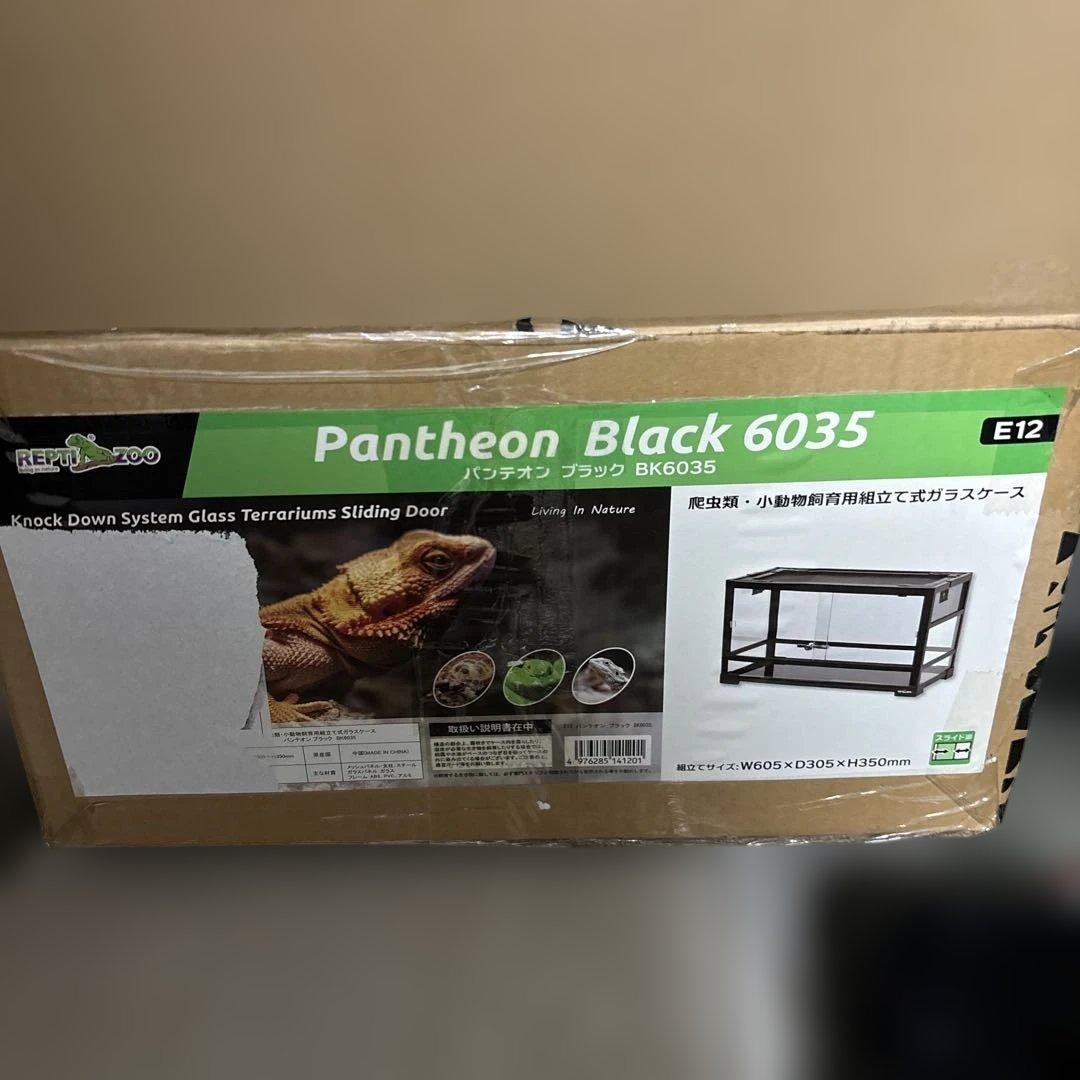 REPTI ZOO パンテオン6035