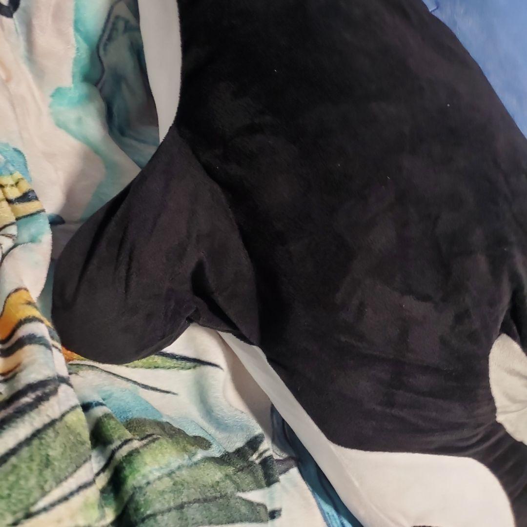 S賞サメとA賞シャチのぬいぐるみセット