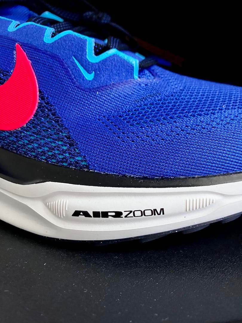 （廃番カラー、完全未使用品）ナイキ エアズーム ペガサス 41