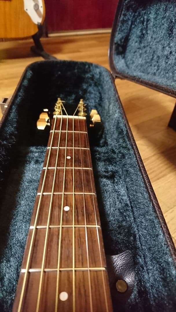 矢入　ヤイリ　yairi RAY-601