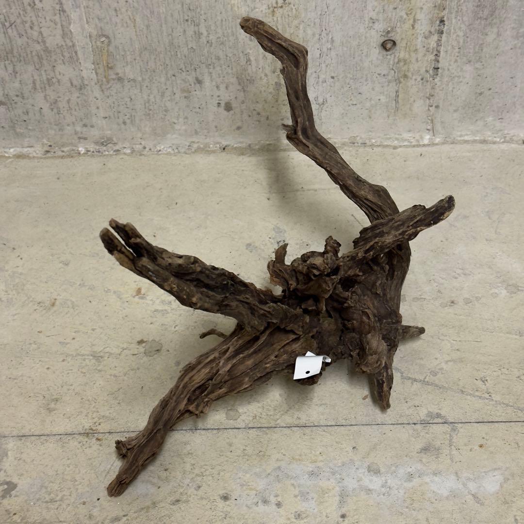 ADA スリムウッド　流木　特大