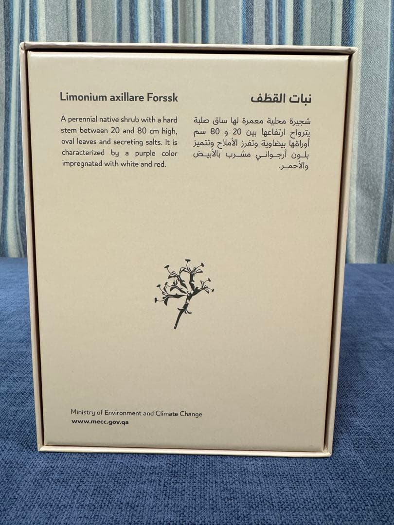 万博 カタールパビリオン 非売品 トート•キャニスター•ピンバッジ 3点セット