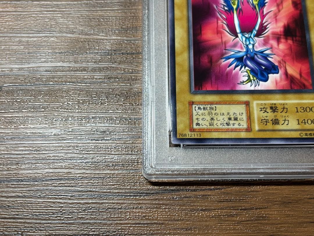 遊戯王 PSA10 パーピィ・レディ 初期 鑑定済み GEM MINT 極美品