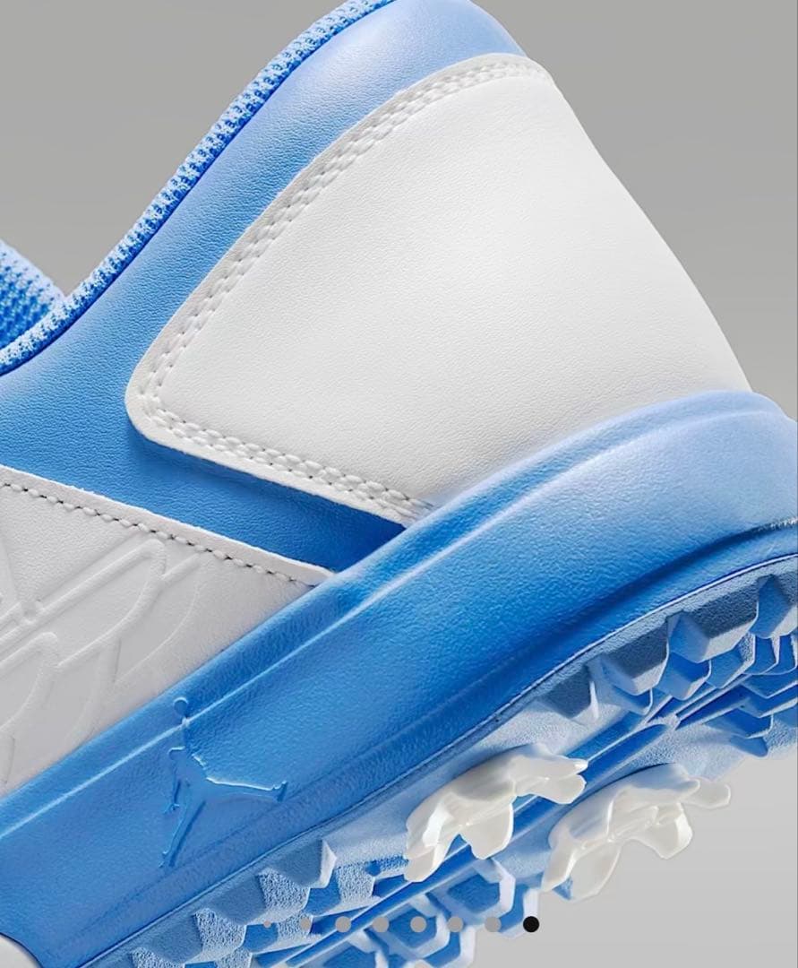 ナイキ ジョーダン NU レトロ 1 G 28.0㎝