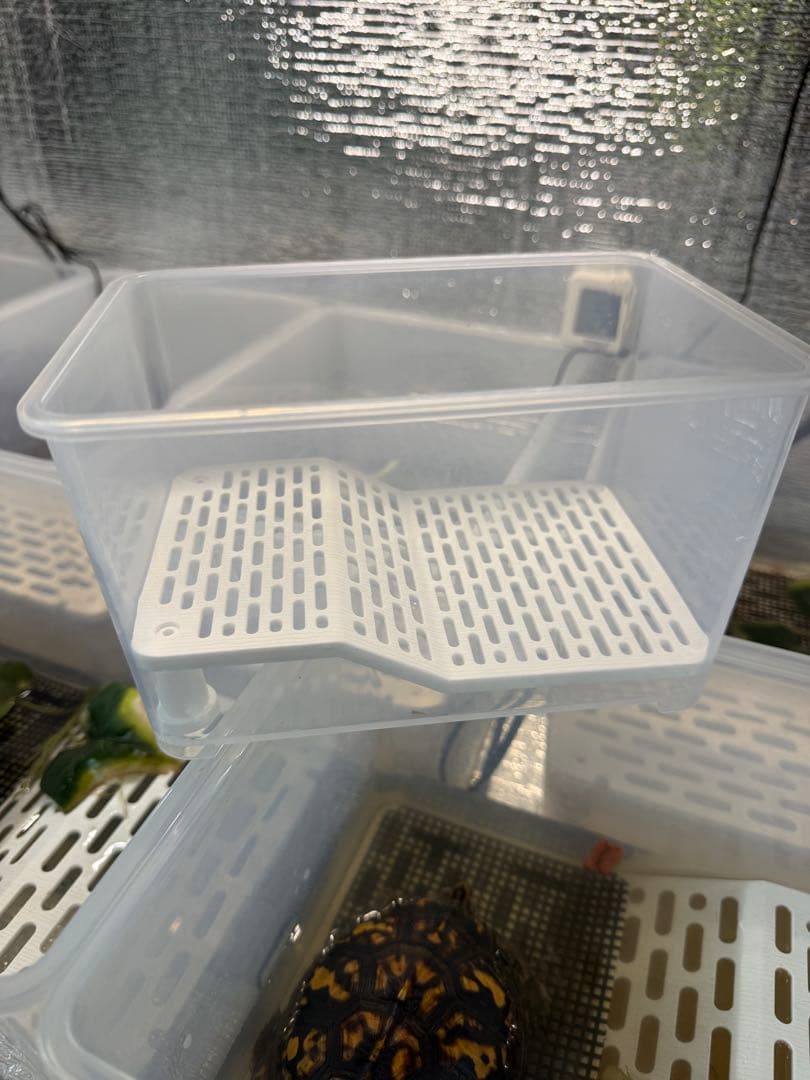 カメ専用飼育ケース　5個セット　中サイズ