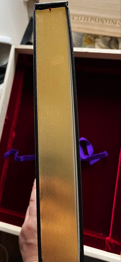 天野喜孝　COLLECTED PAINTING OF AMANO’S WORLD