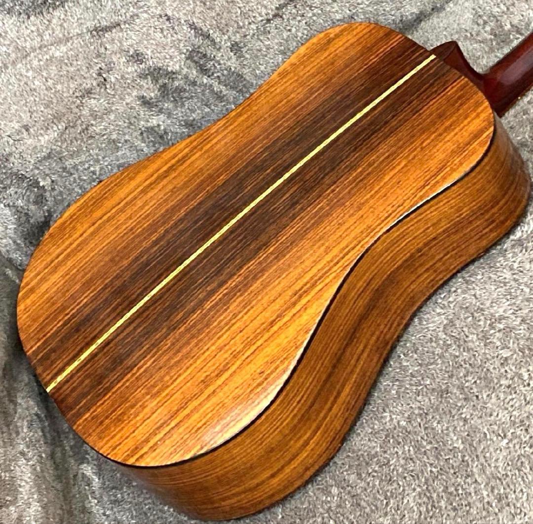 ギター Martin D-21LE MOD