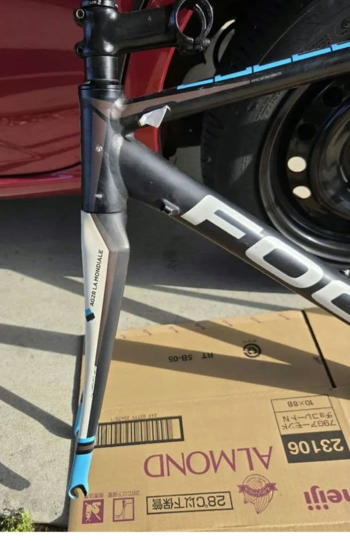 FOCUS CULEBRO 　サイズS　フレーム