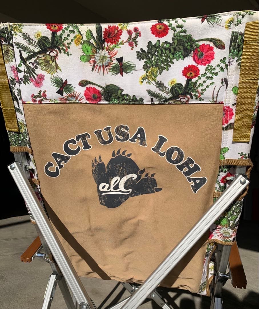 値下げ！アレキサンダーリーチャン カクタスアロハチェア