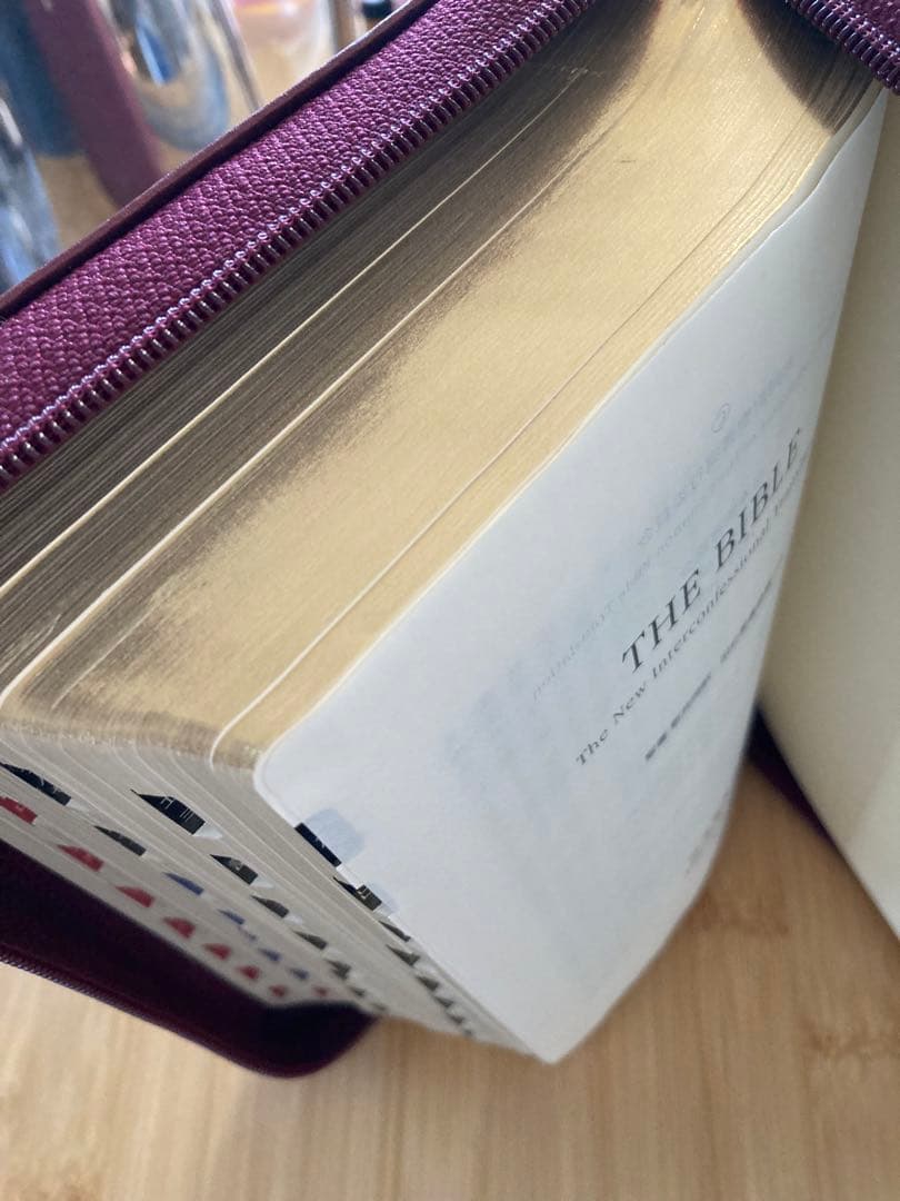 聖書　新共同訳　旧約聖書続編つき　ジッパーケース付き