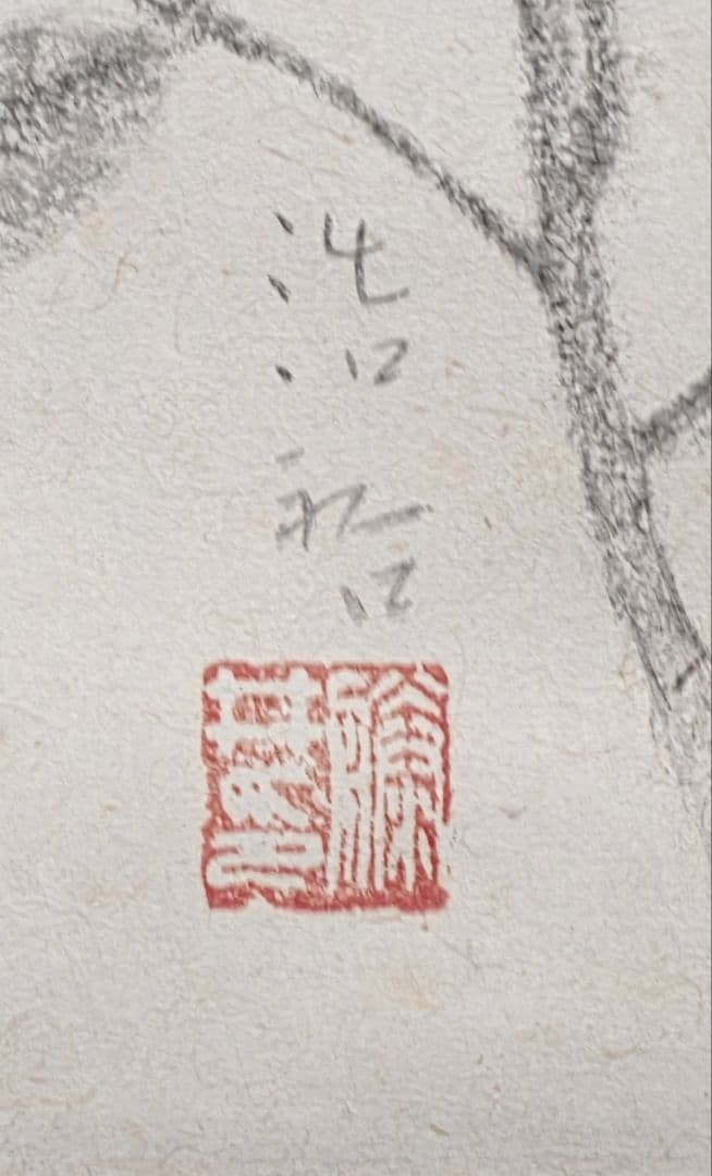 【白山茶花図】藤井浩裕 2721 彫刻家 共箱 掛け軸 肉筆