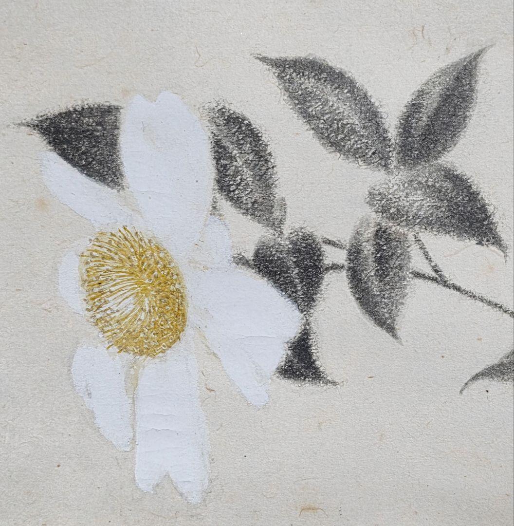 【白山茶花図】藤井浩裕 2721 彫刻家 共箱 掛け軸 肉筆