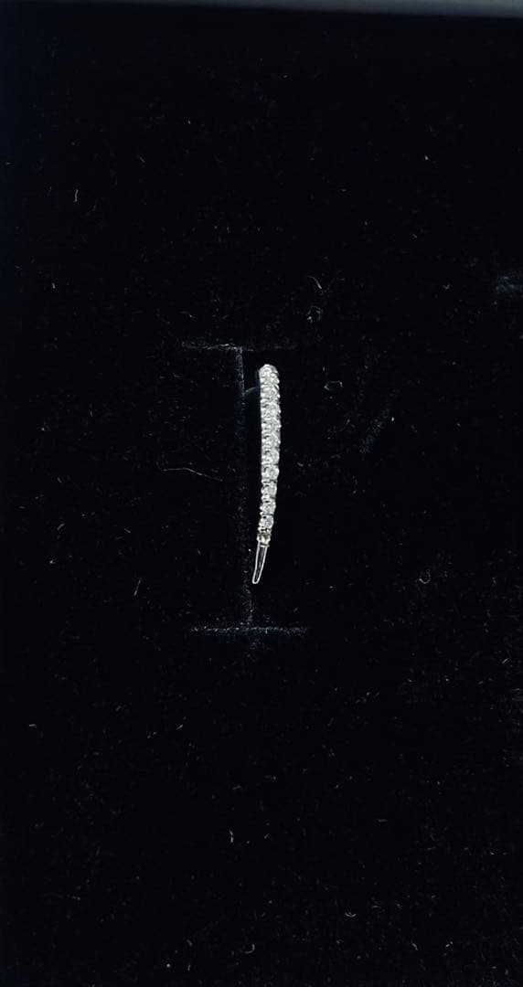 gabriela artigas ガブリエラアルティガス　ピアス