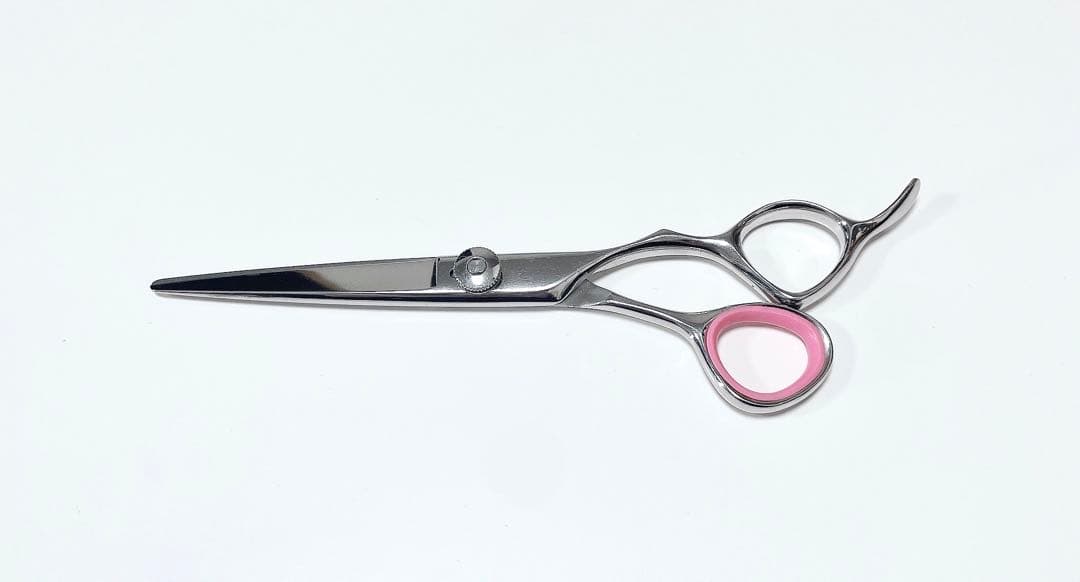 ミズタニシザーズ