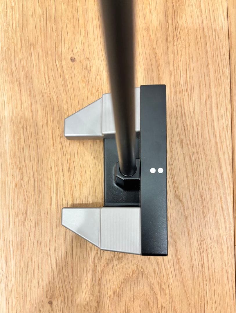 PARADOX BGT マレットパター