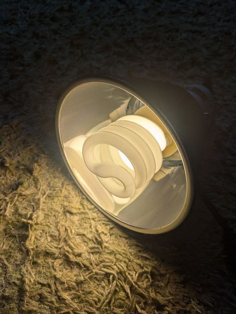 （引取限定）爬虫類ケージセット