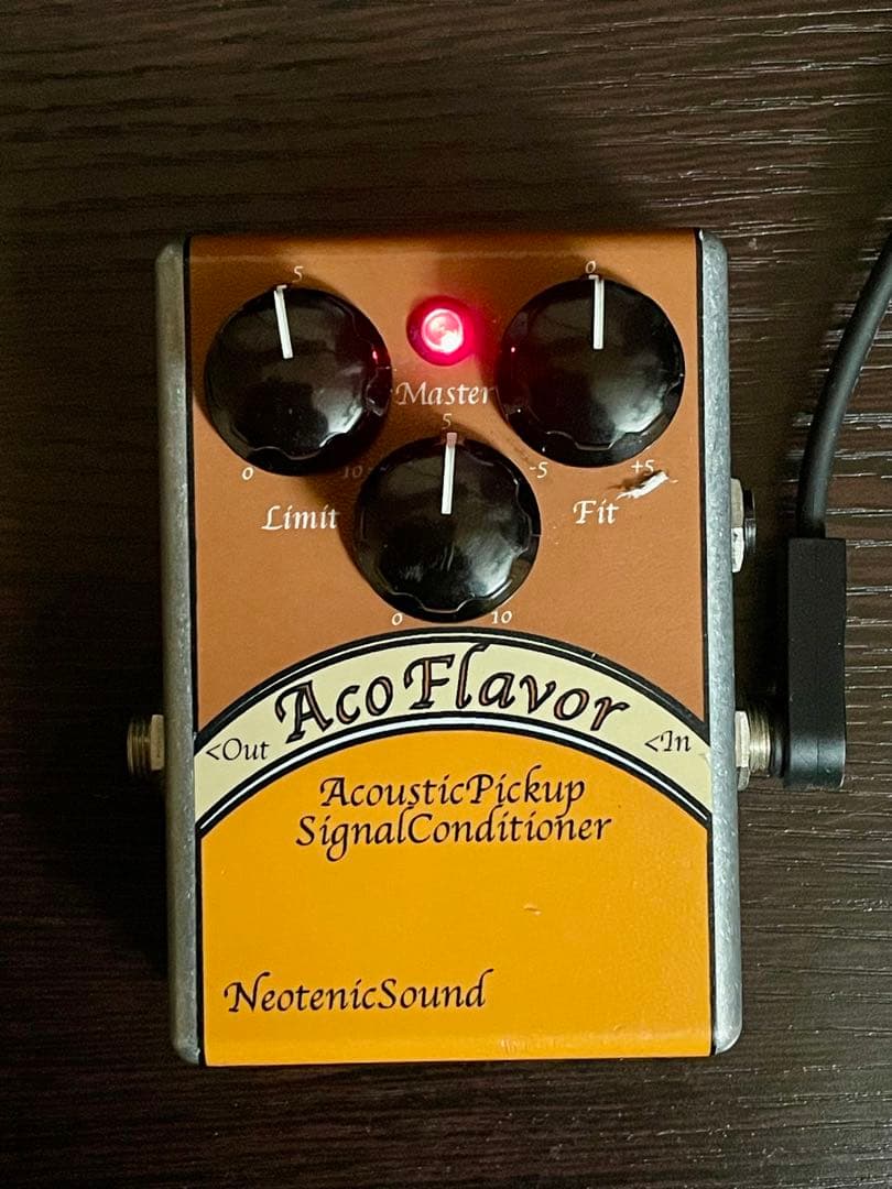 ギター NeotenicSound AcoFlavor