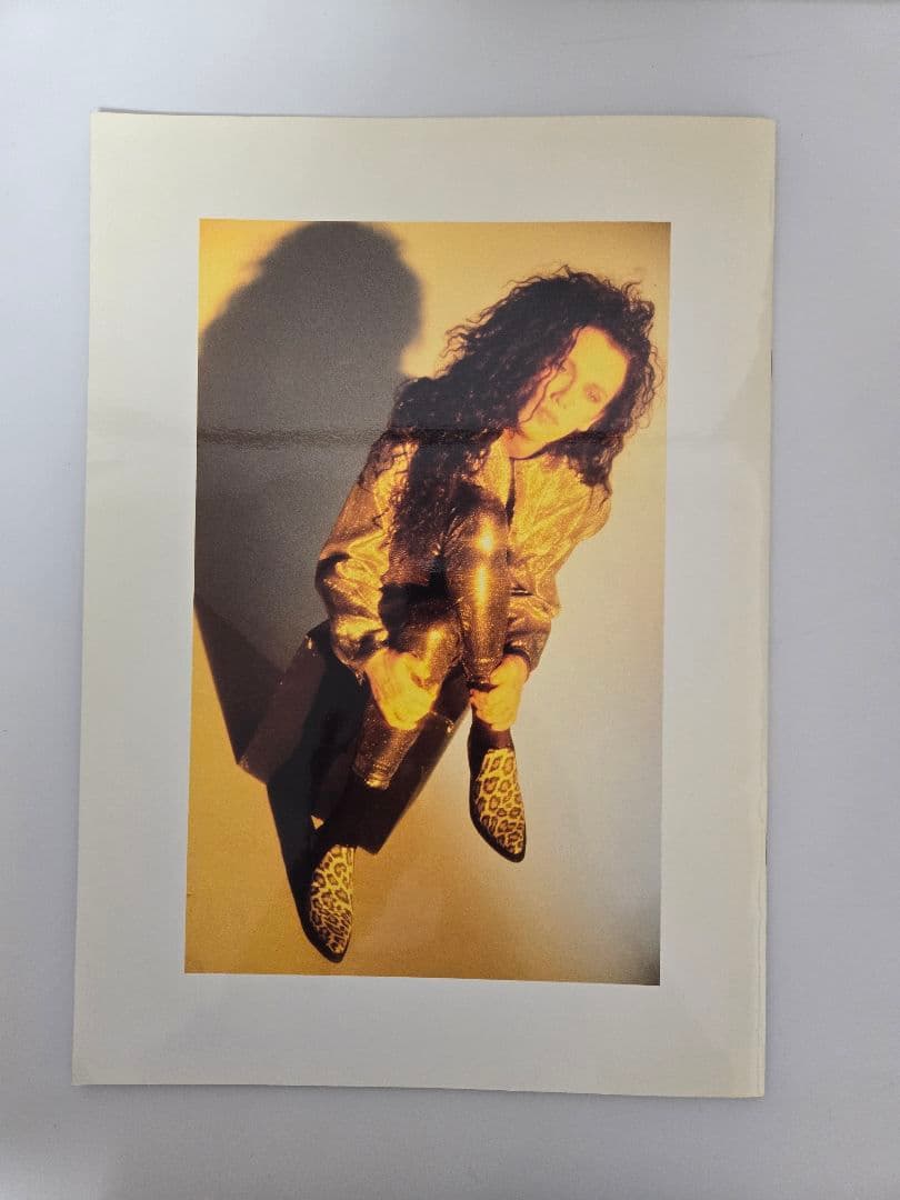 デッドオアアライブ　ツアーパンフ　DEAD OR ALIVE ピート・バーンズ