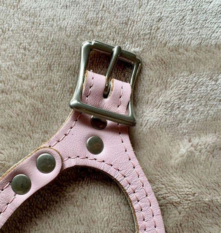 バディベルト Body Belts ピンクハーネス & リード セット　バディー