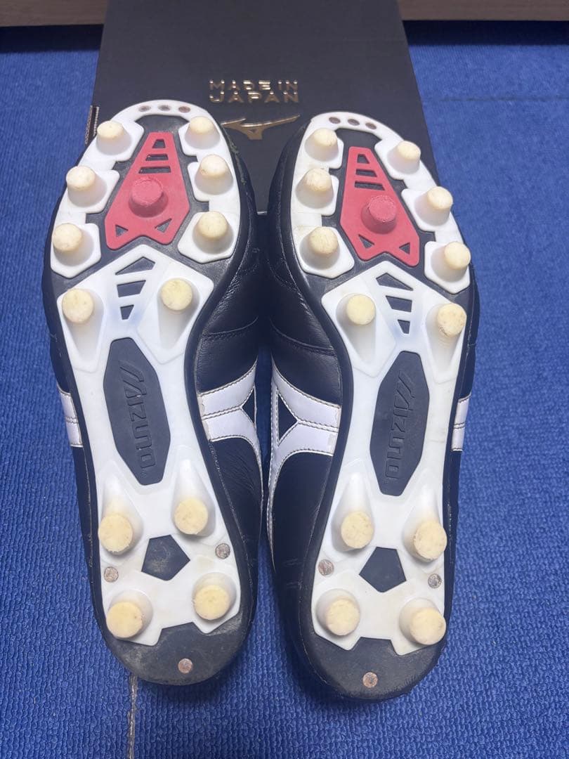 モレリア2JAPANクロスステッチ