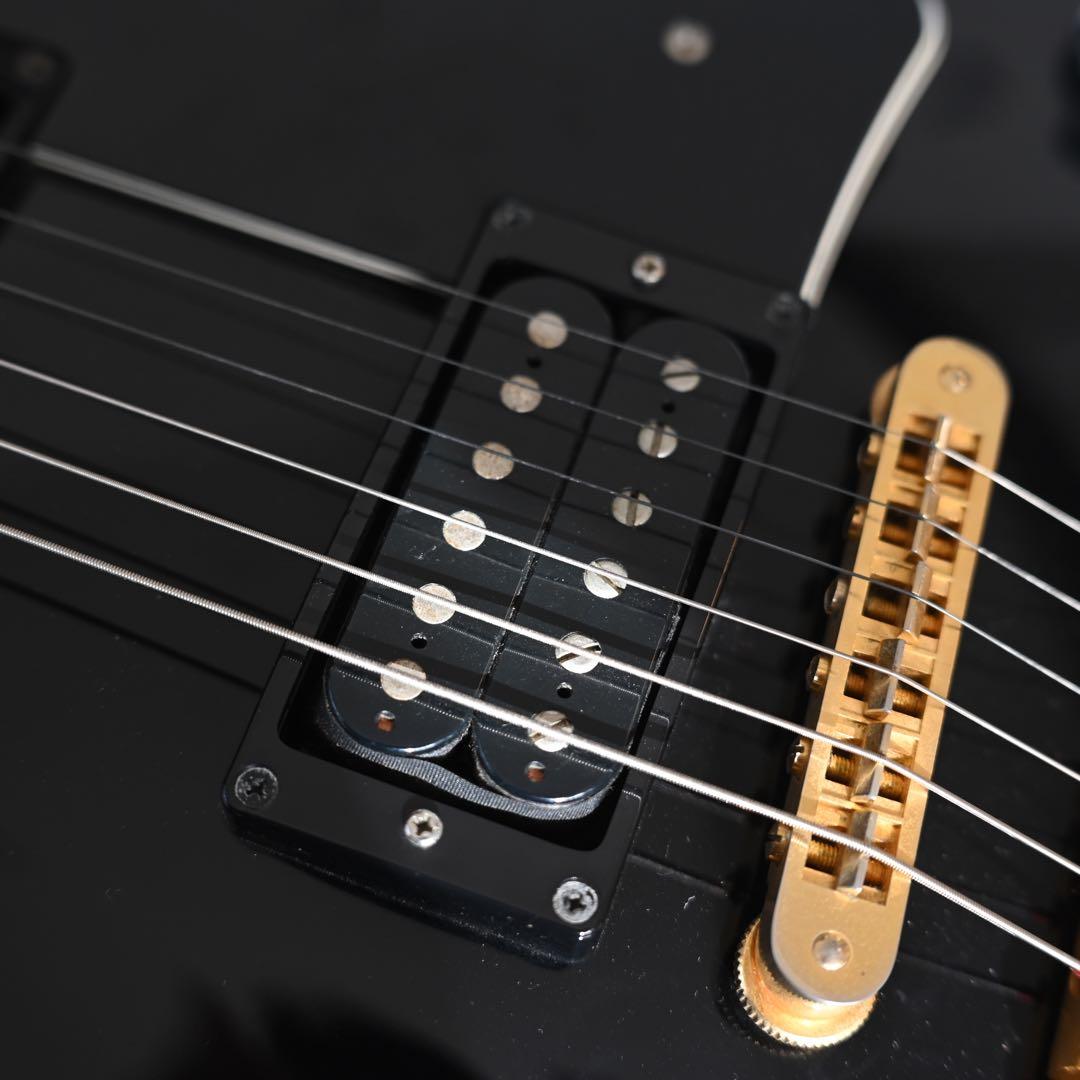 【Hattsun】バーニー　レスポール　RLC55S Sustainer