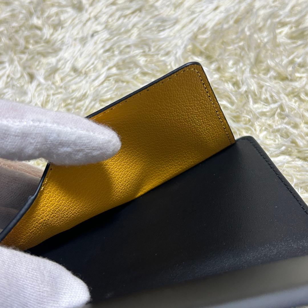 【未使用級】ゴヤール　パスポートケース　カードケース　本革　PVC 黒