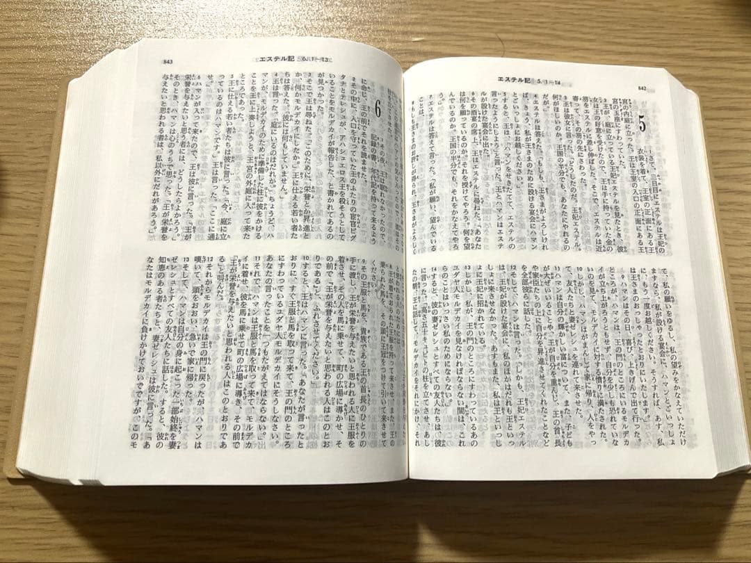 【ジャスミン出品】バイブルミニBIBLE mini 新改訳第3版 聖書