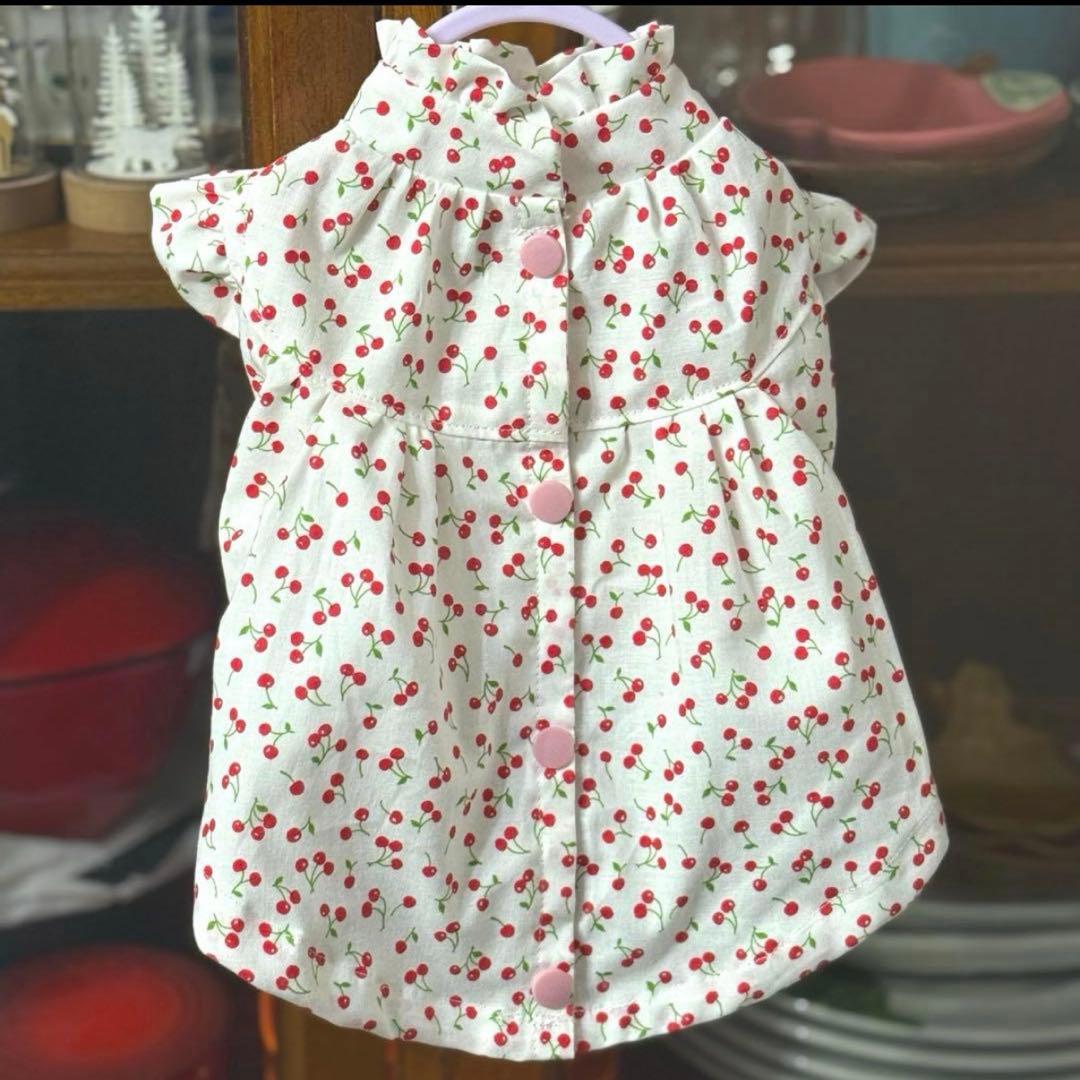 nov1012様の専用ページ　小型犬　犬服