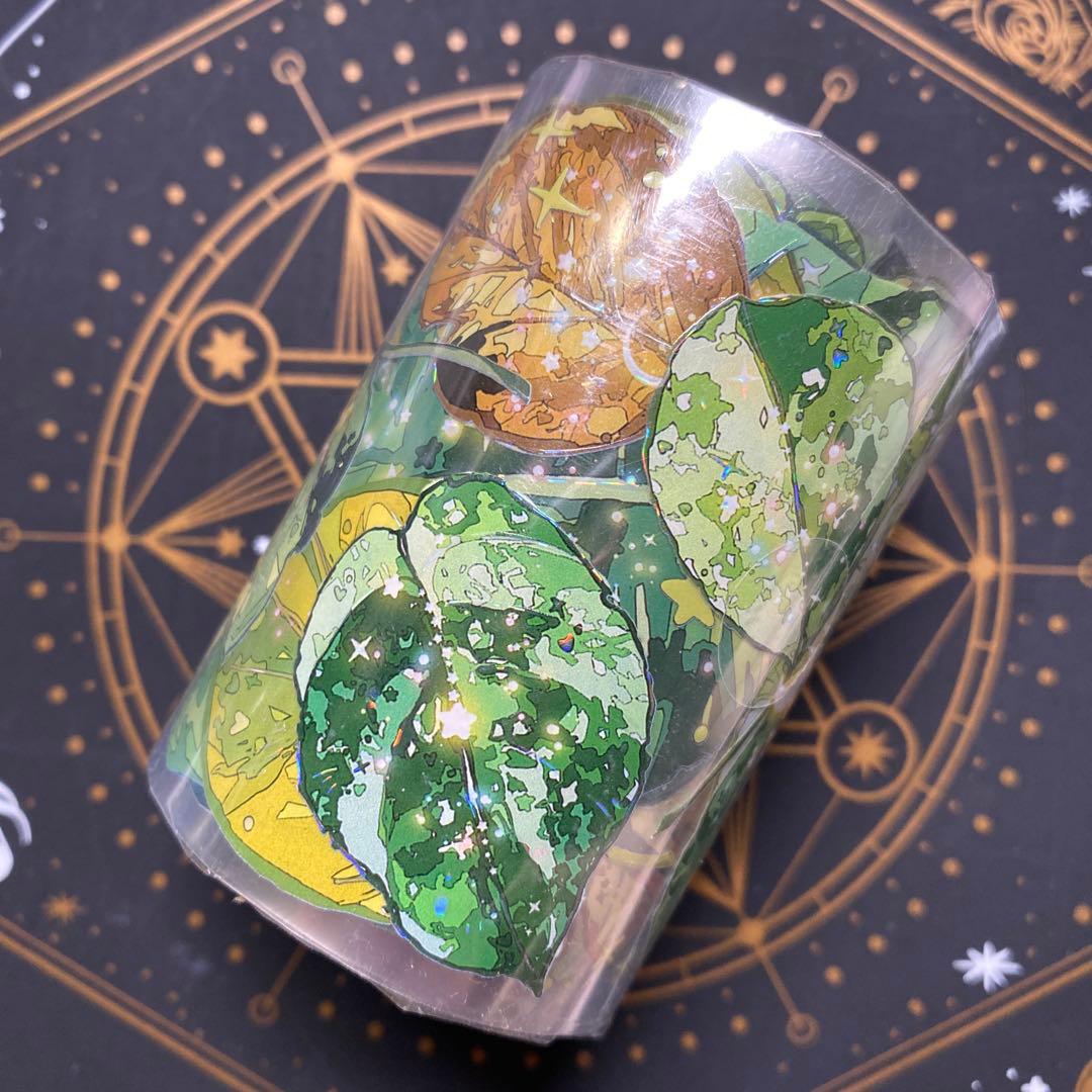 【9458】海外　マステ　3/5/巻　貝殻光マスキングテープ葉っぱ　植物　装飾系