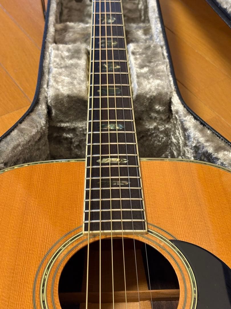 Morris W-50 単板トップ アコースティックギター 専用ハードケース付