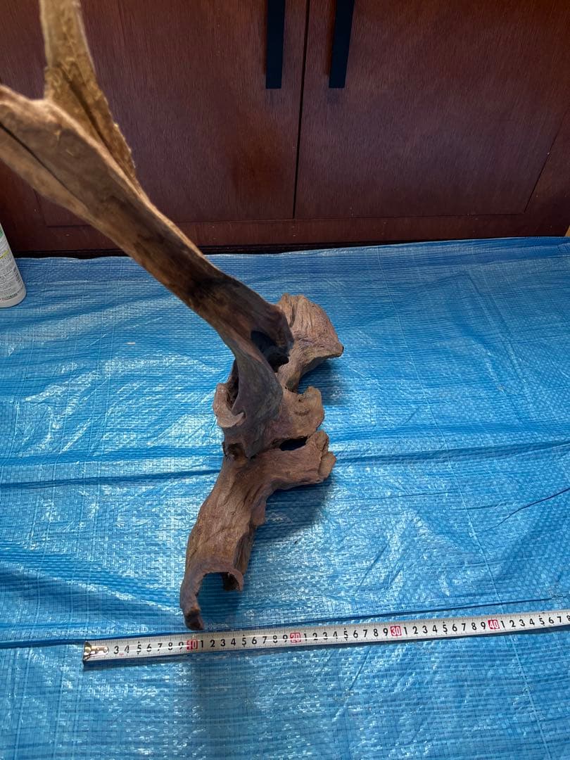 ADA ホーンウッド　特大