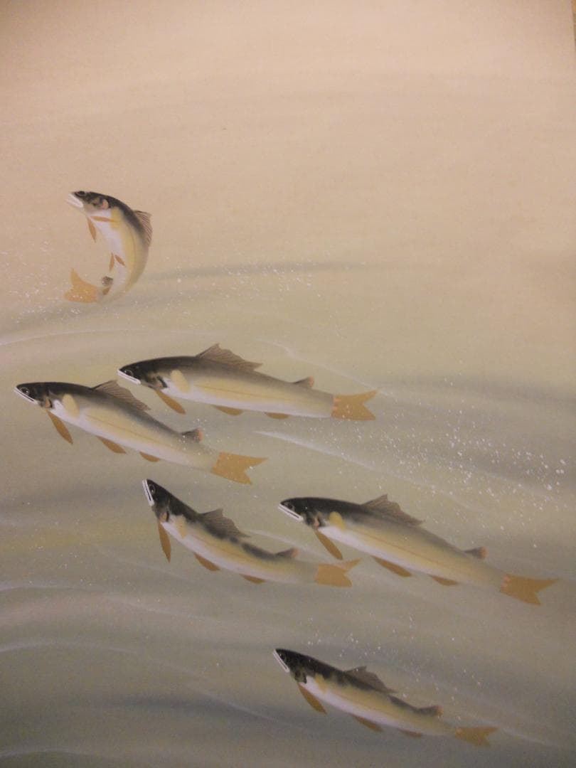 掛け軸 山下光昭 清流鮎 絹本 希少 軸装 茶道具 掛軸 美品 です。