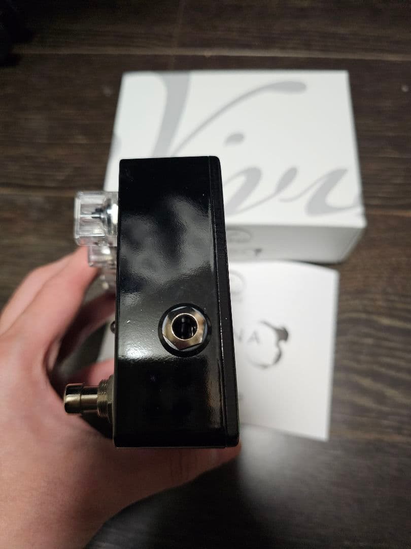 Vivie ATHENA scion ギターエフェクター