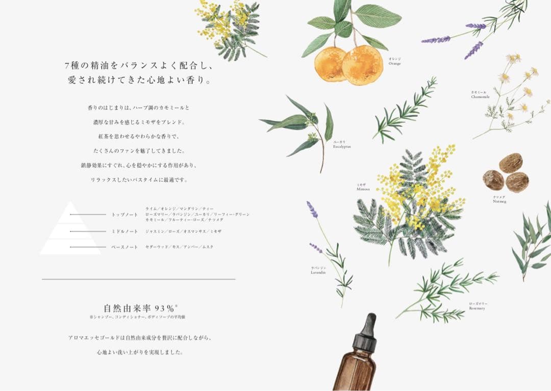 アロマエッセゴールド POLA ポーラ　 シャンプー10L