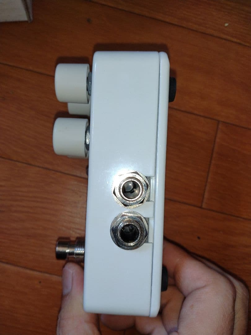 electro-harmonix Canyon ディレイ・ルーパー