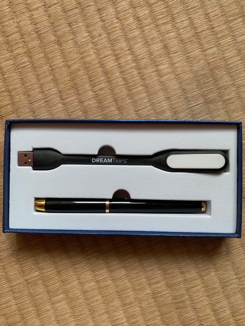 DREAMTRIPS ボールペンとUSBライトセット