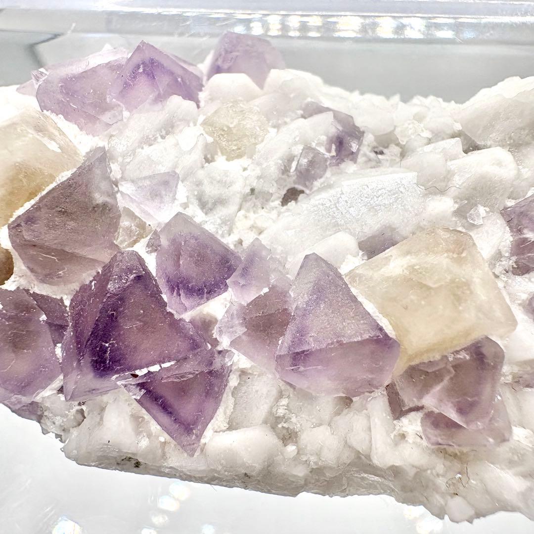 565 中国内モンゴル産　八面体フローライト&シェーライト