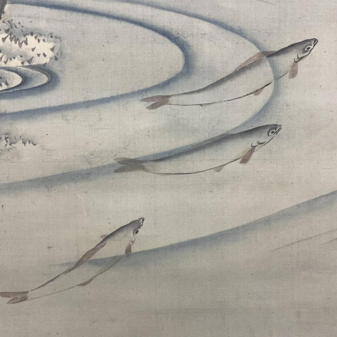 真作/白嶺/柳下翡翠図/カワセミ図/鮎/花鳥/魚/絹表装/布袋屋掛軸A-245