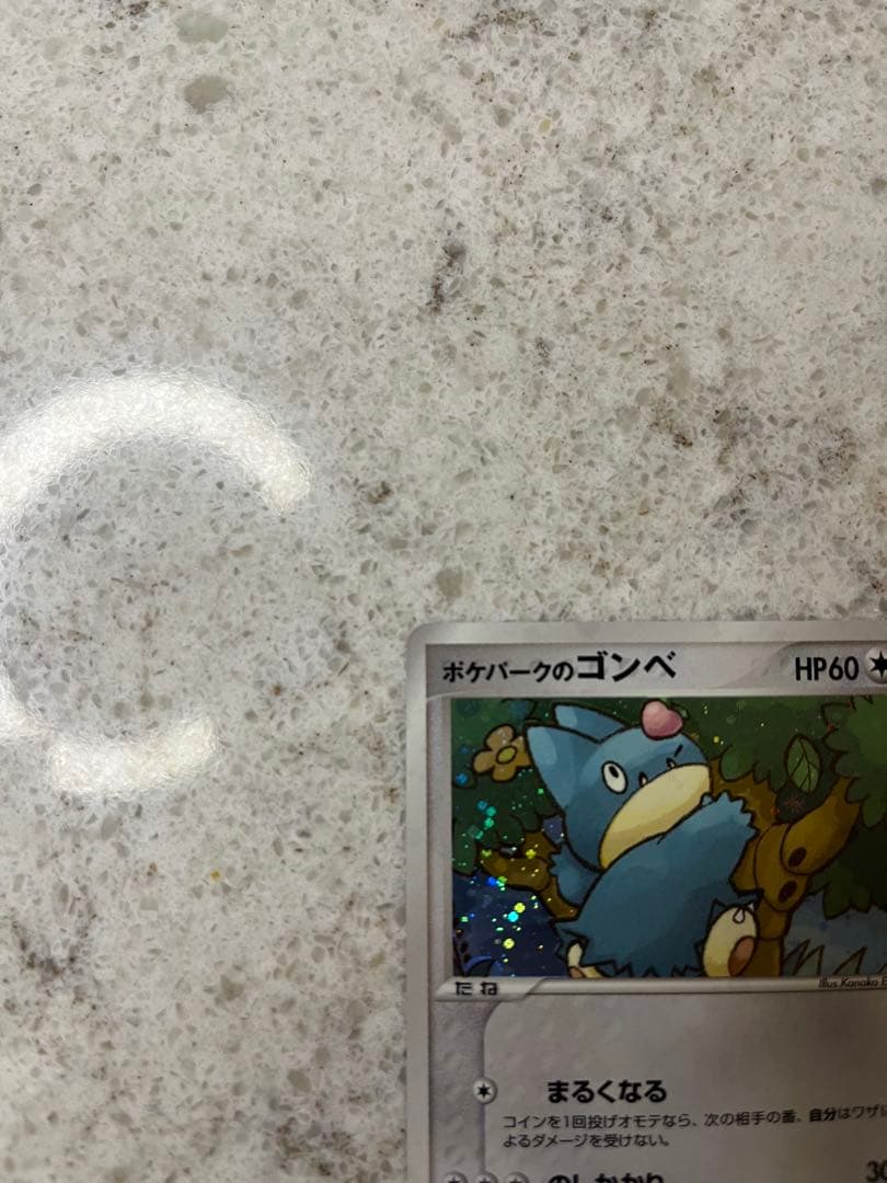 PSA 10 ポケパークのゴンベ 008/009 ポケモンカード フォレスト