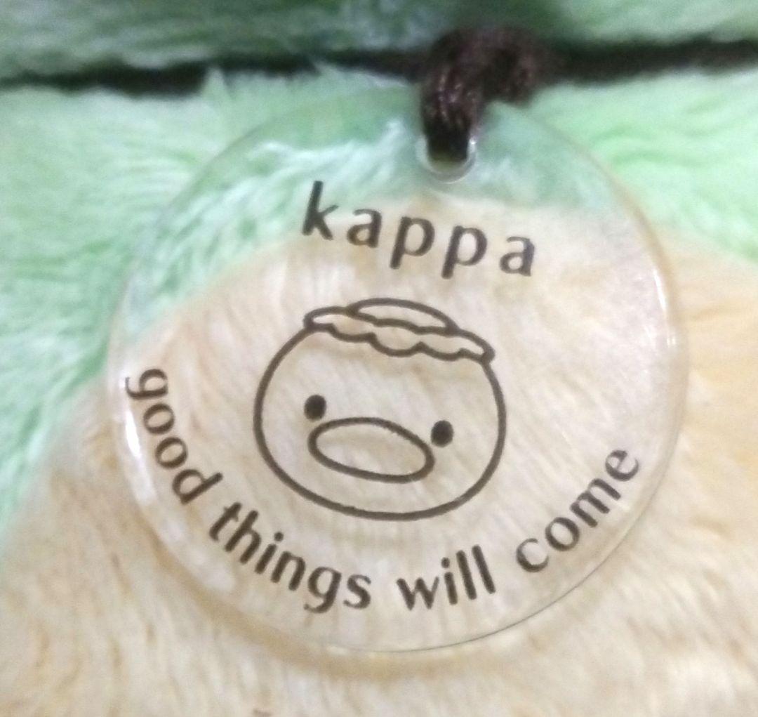 上高地限定 カッパ かっぱ 河童 ぬいぐるみ かえるのピクルス