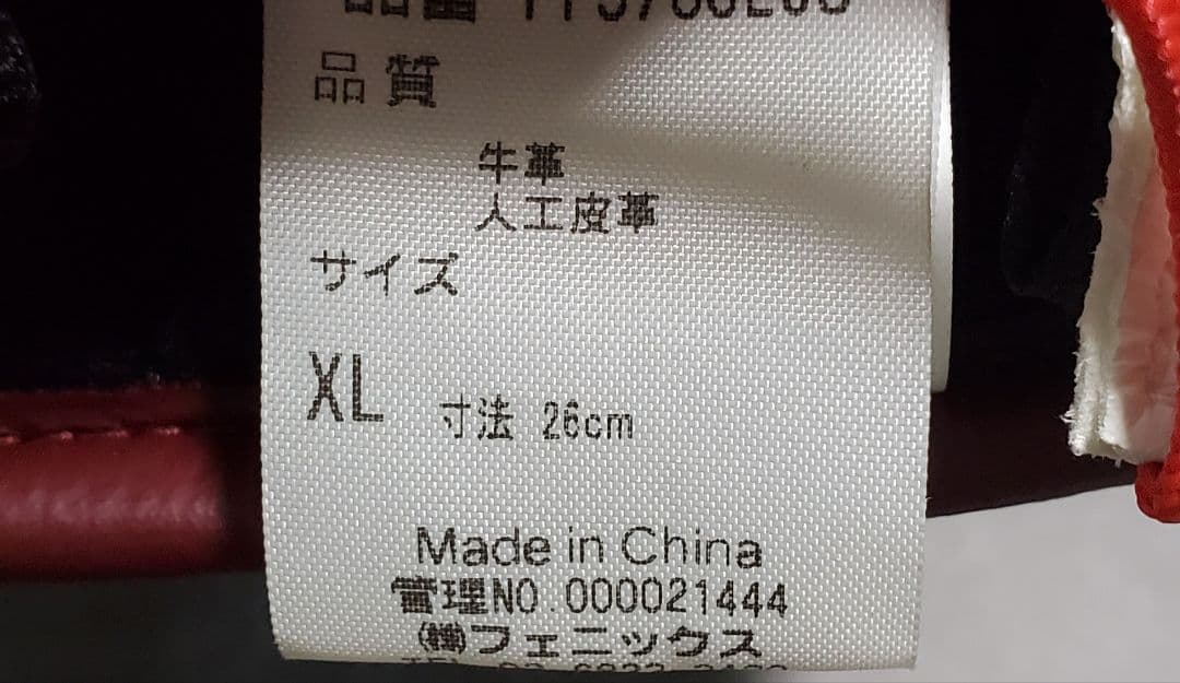 PHENIX フェニックス スキーグローブ