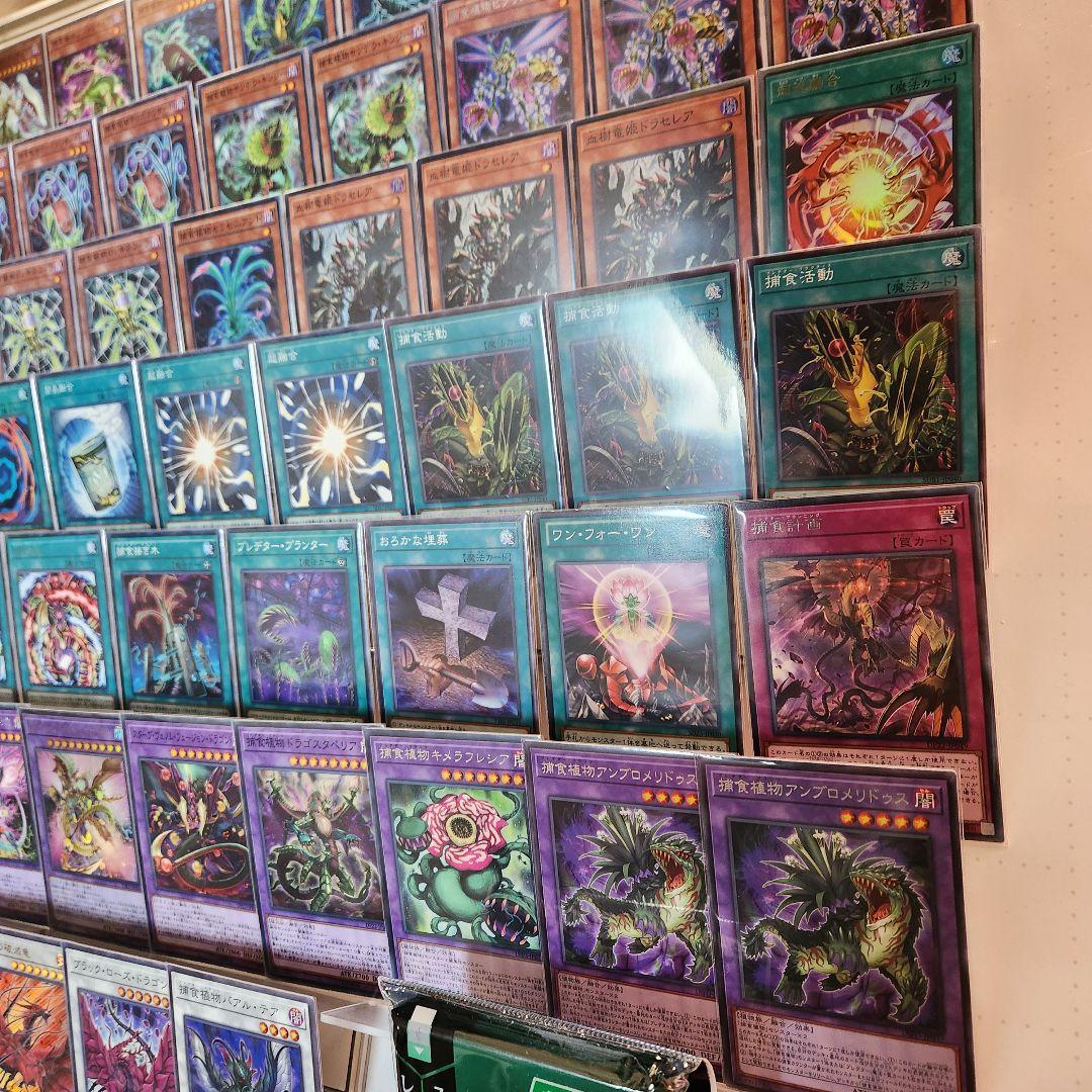 山屋　即日発送　捕食植物デッキ　構築済みデッキ　まとめ売り