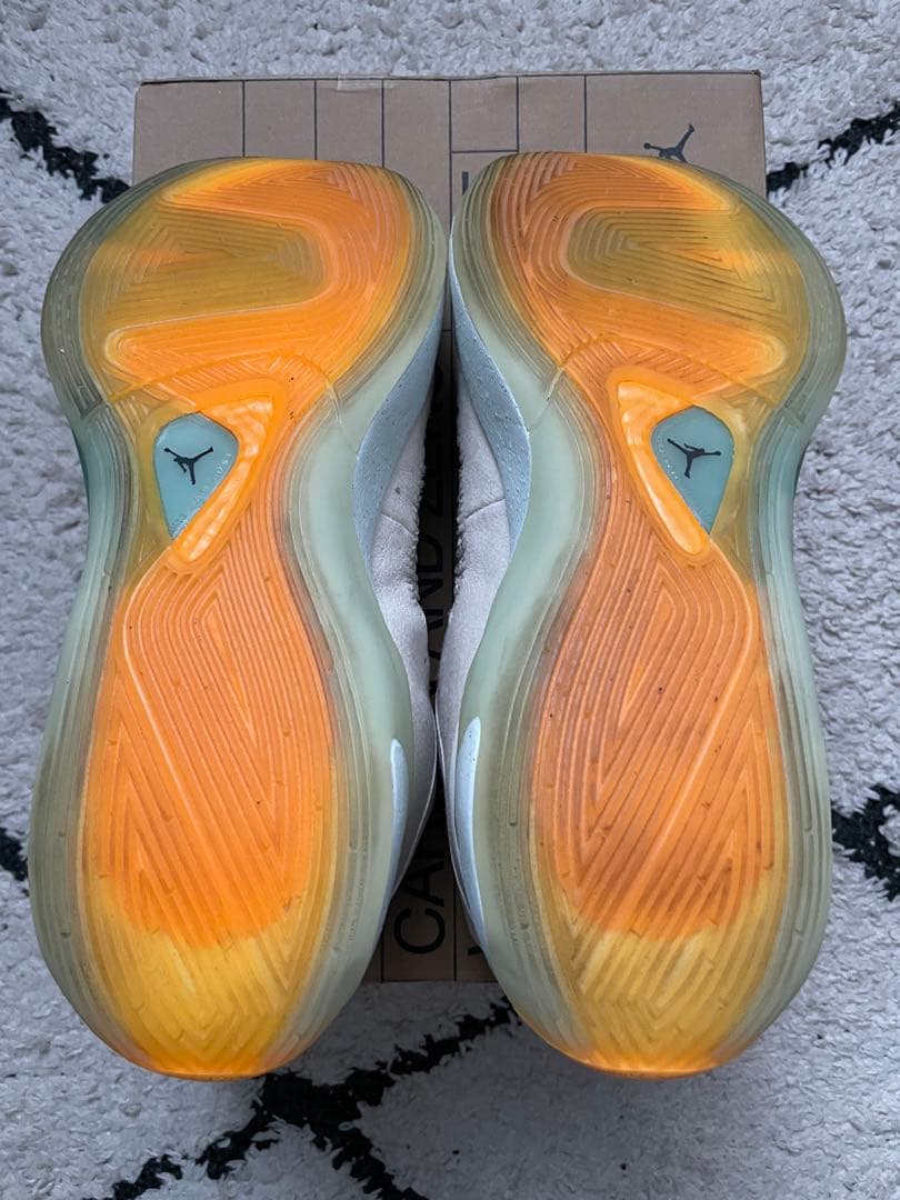 Nike Jordan ルカ1 Next Nature