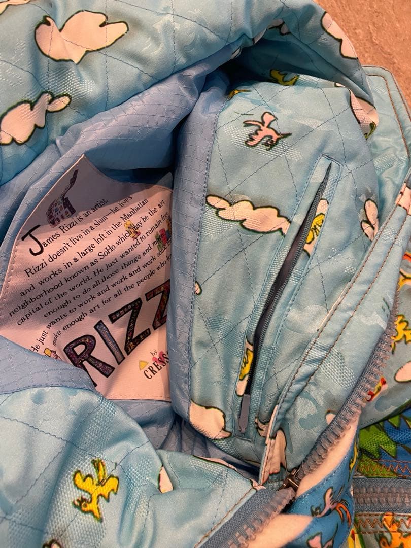 James Rizzi 画家　レア　スキーウェア　ボード　9 美品　M