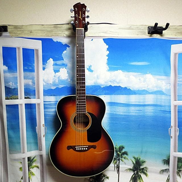 James ジェームス トップ単板アコースティックギター JF350TS